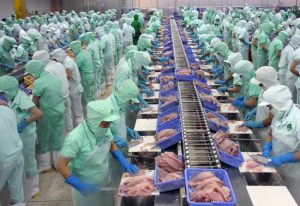 Đơn hàng chế biến thịt gà làm việc tại Nhật năm 2020
