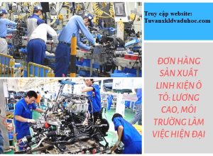 Cần tuyển TTS nam về sản xuất linh kiện ô tô tại Oita